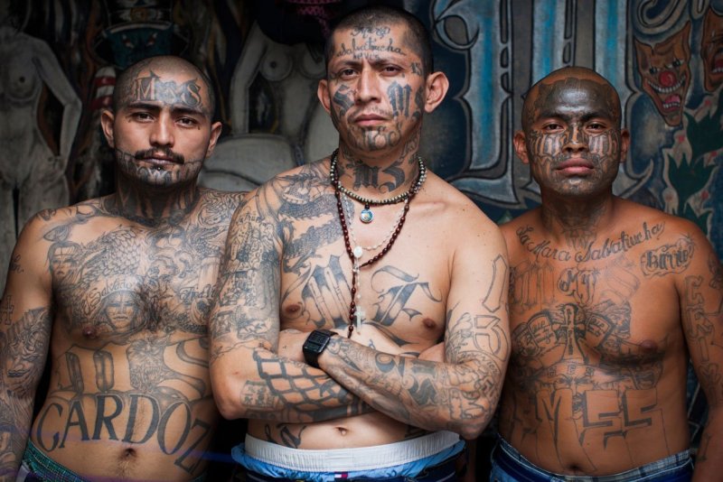 Банда Мара Сальватруча ms13