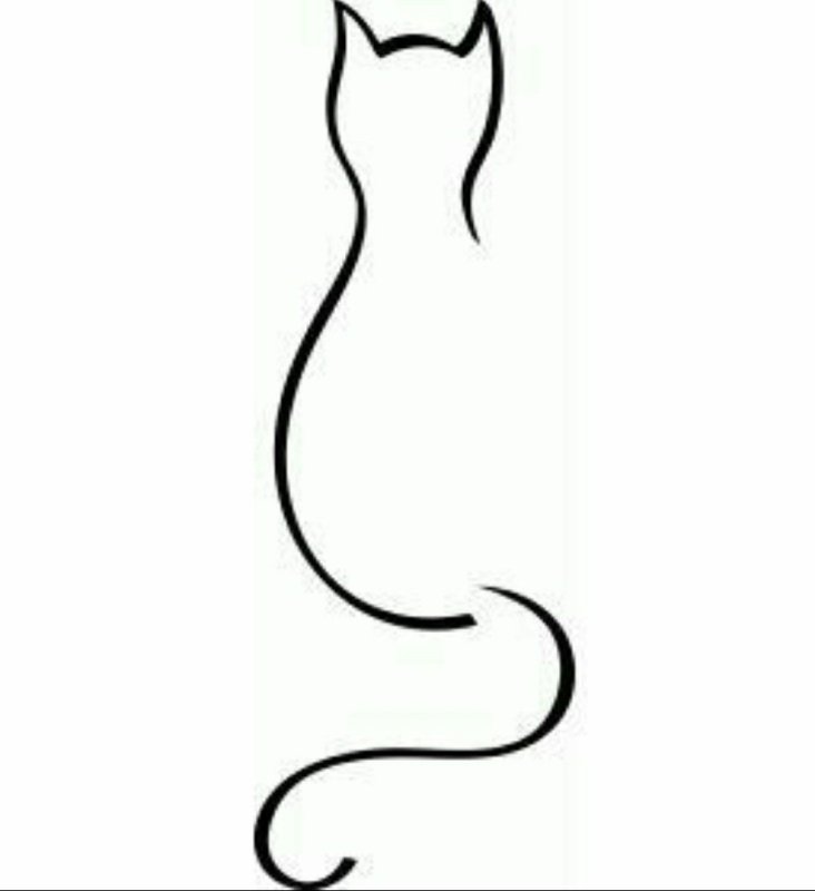 Кошка линиями