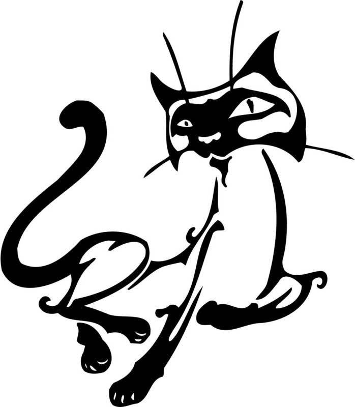 Чёрный кот