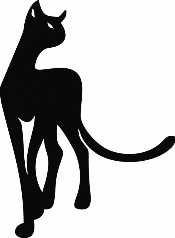 Тату черная кошка эскизы
