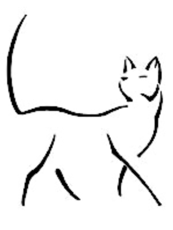 Грациозная черная кошка