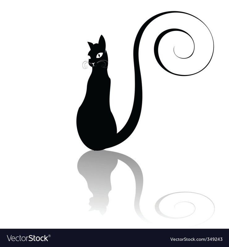 Силуэт кошки сфинкса