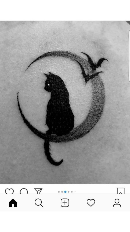 Кошачьи силуэты в ряд