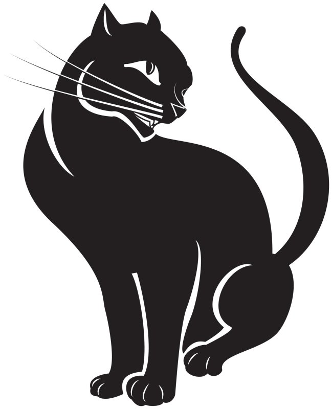 Очертание кошки