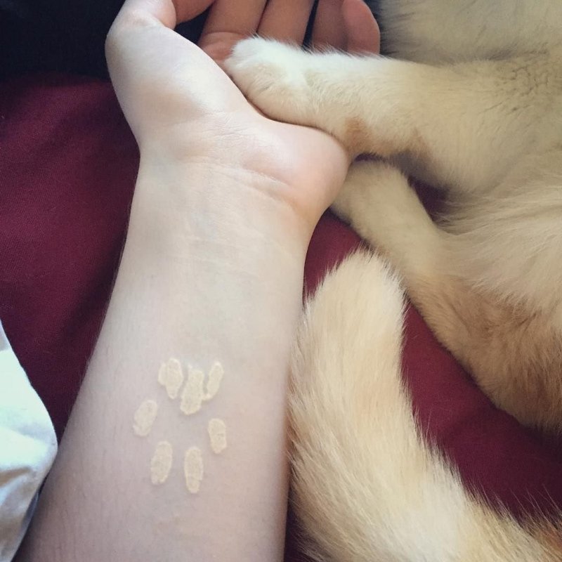 Тату лапки кошки