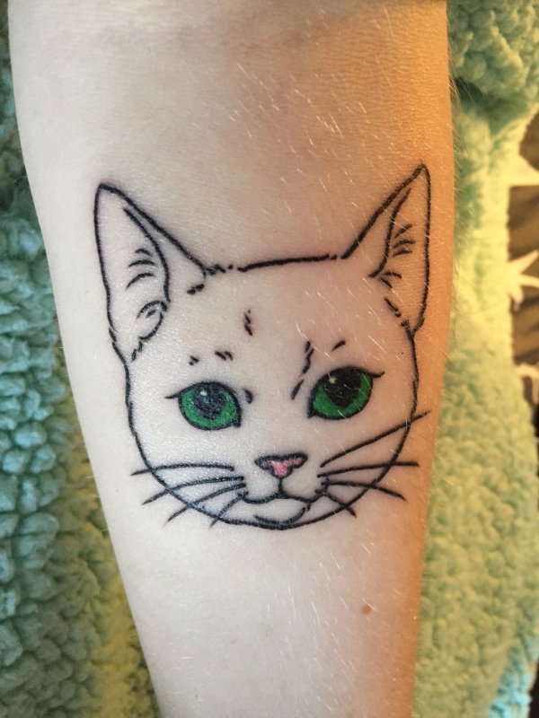 Котики хной