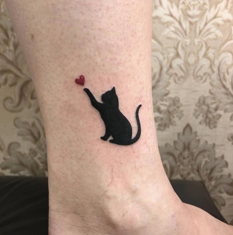Тату котик