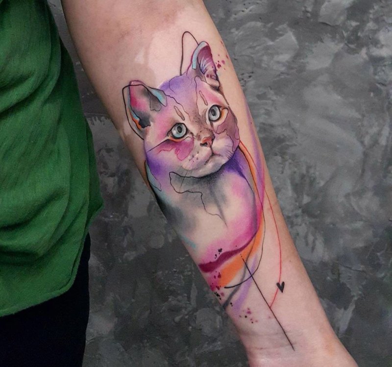 Тату котик