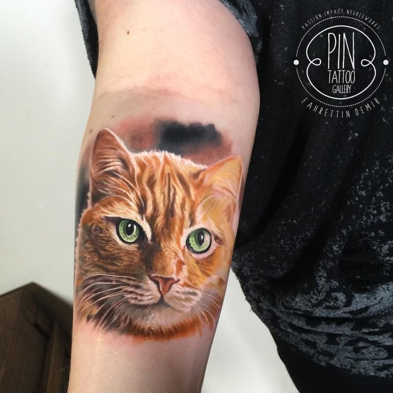 Маленькие тату кошки