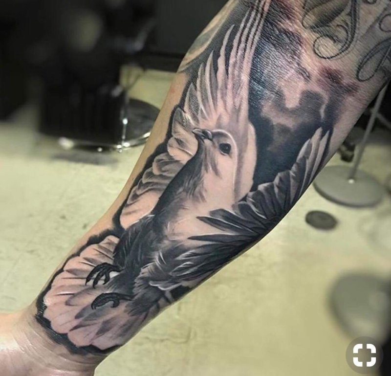 Арло ди Кристина