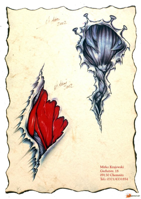 Спина рисунок