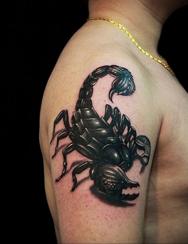 Tattoos Scorpion сзади предпоечья