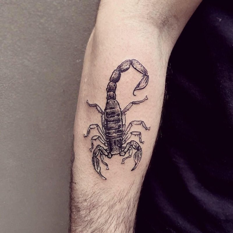 Скорпион на руке