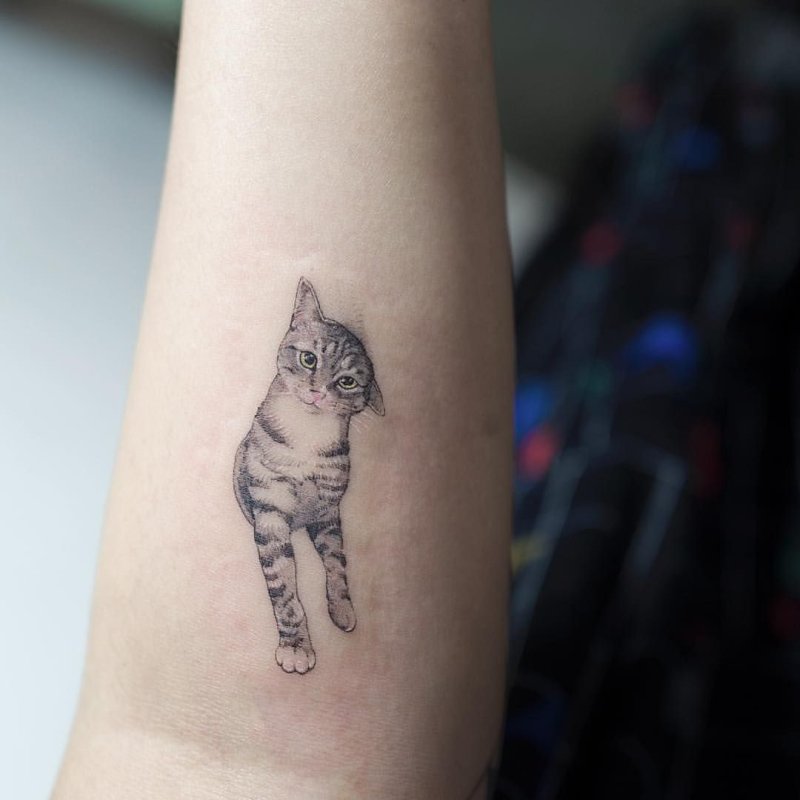 Мини тату кот