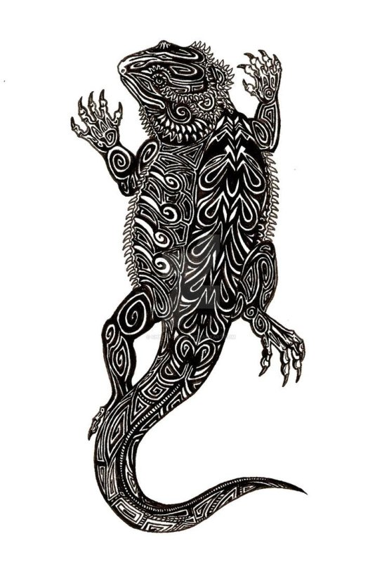 Полинезия Маори ящерицы
