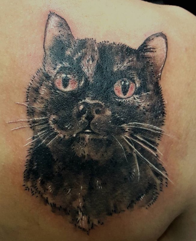 Кот в цилиндре тату эскиз