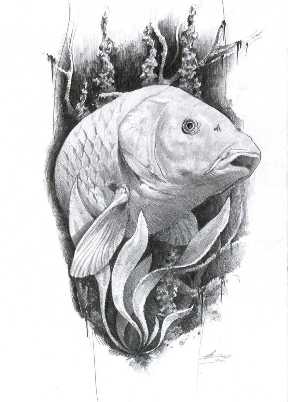 Рыбка эскиз