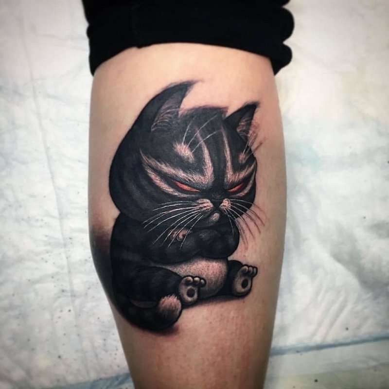 Кот Степана Негура