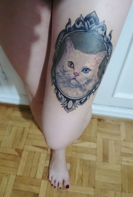Тату белый кот