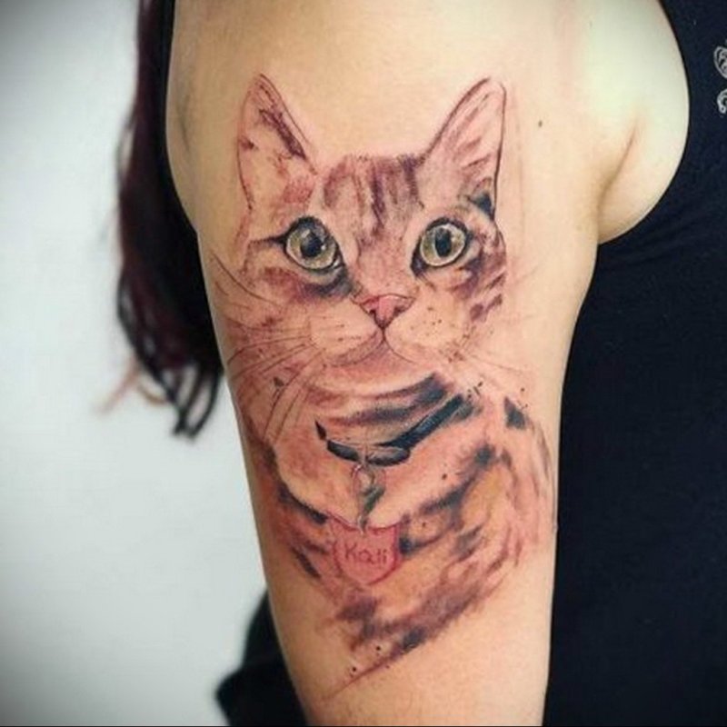Татуировка кошка
