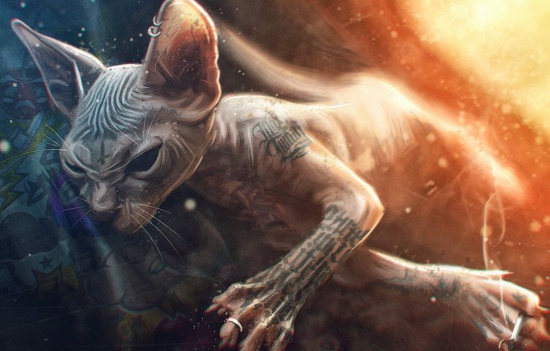 Кот Макс Твейн