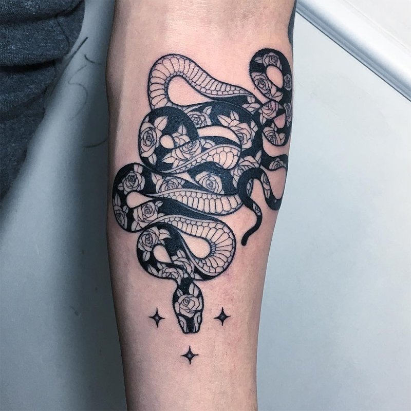 Уробо́рос tatu