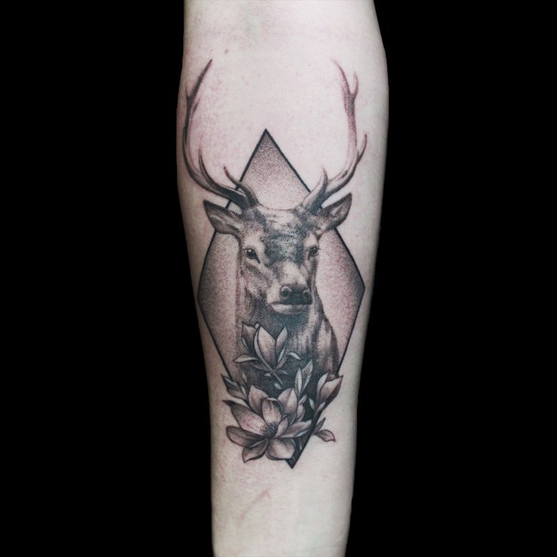 Олень linework