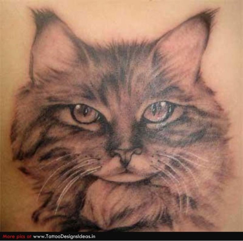 Кот стимпанк тату
