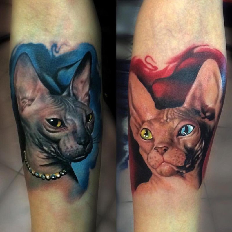 Тату черная кошка