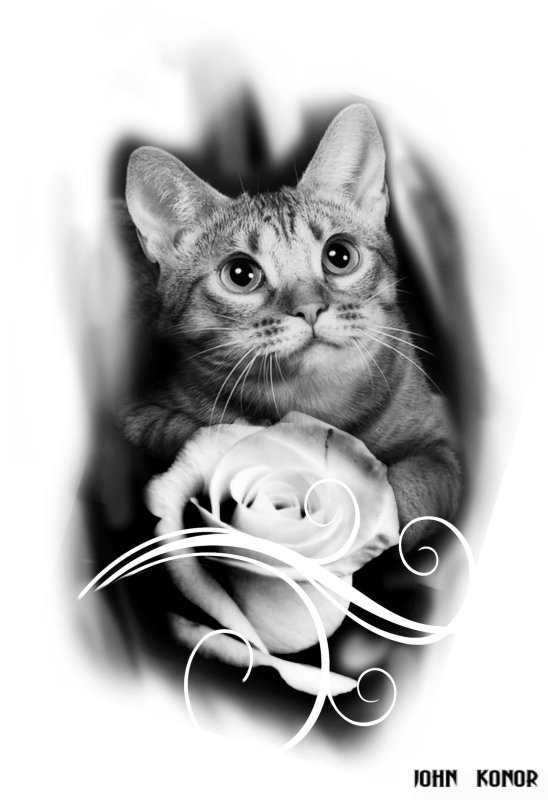 Кот реализм