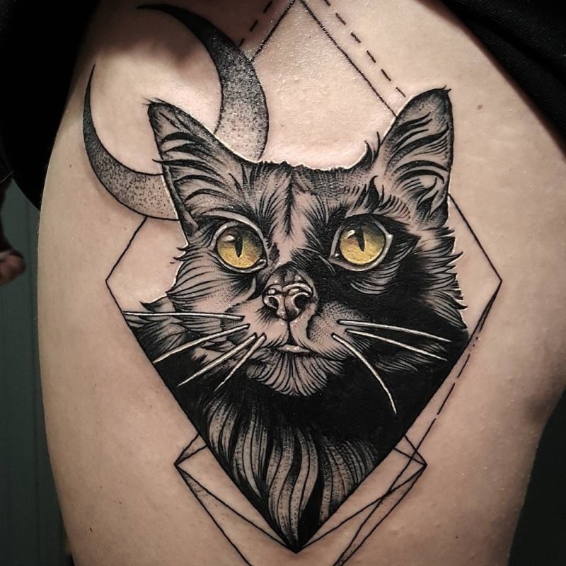 Тату кот