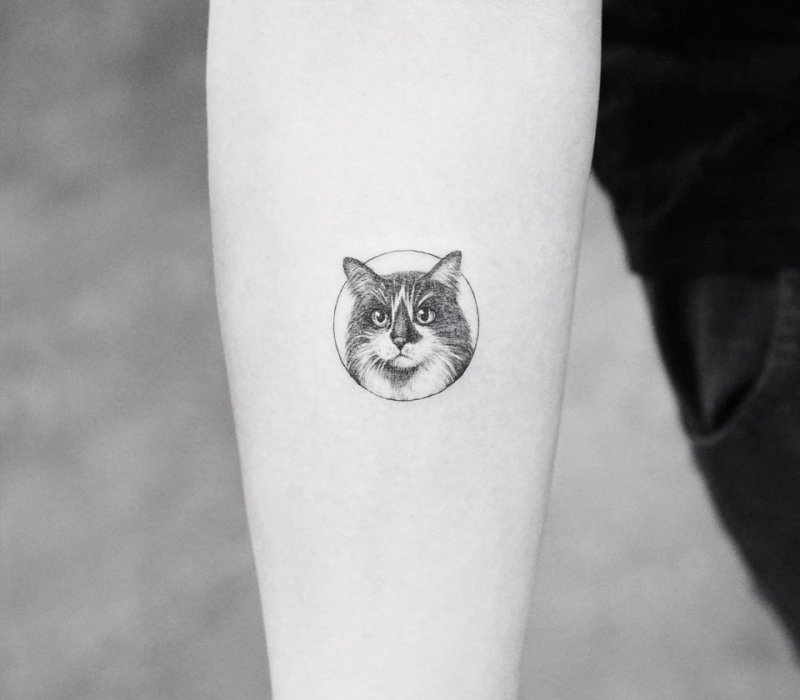 Кот тату эскиз