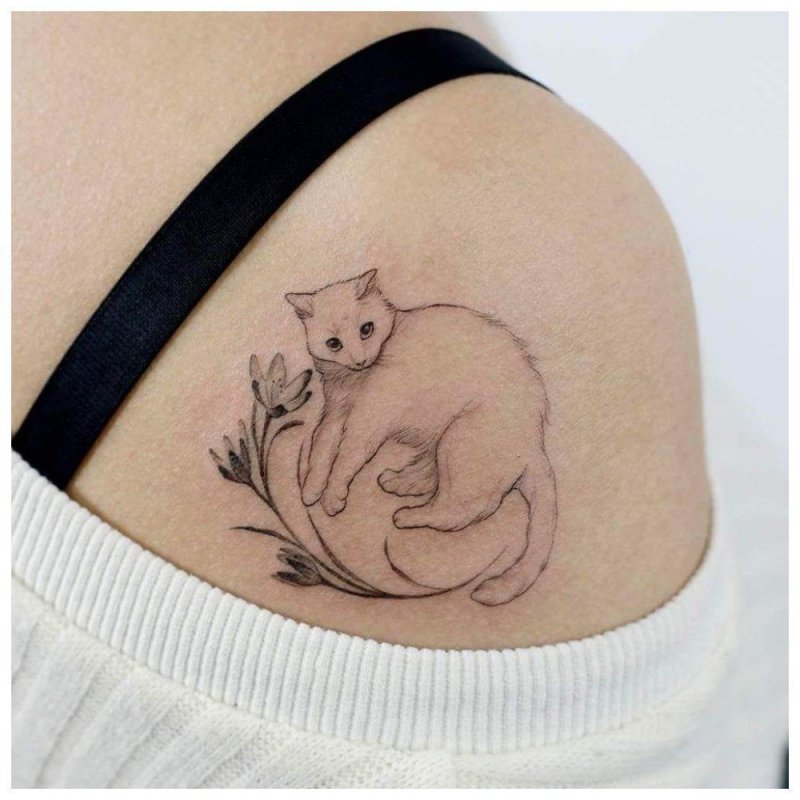 Коты в шляпах тату