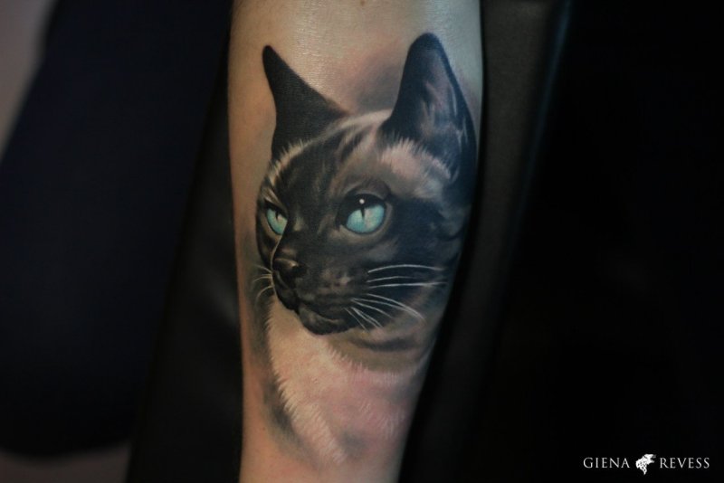 Женский тату рукав кошка