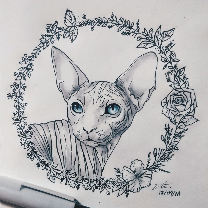 Тату черный кот