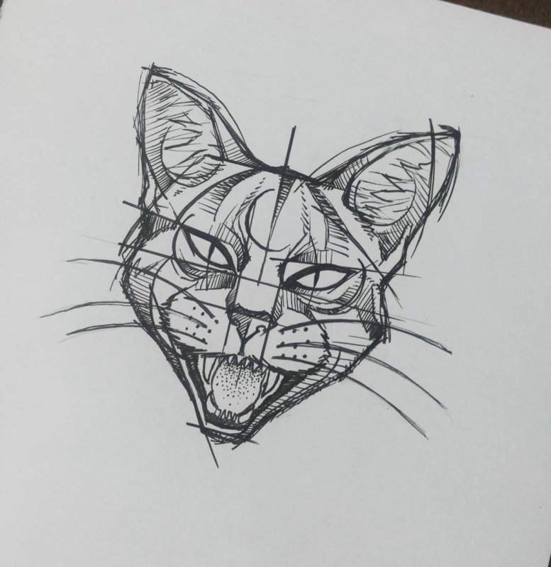 Женские тату кошки