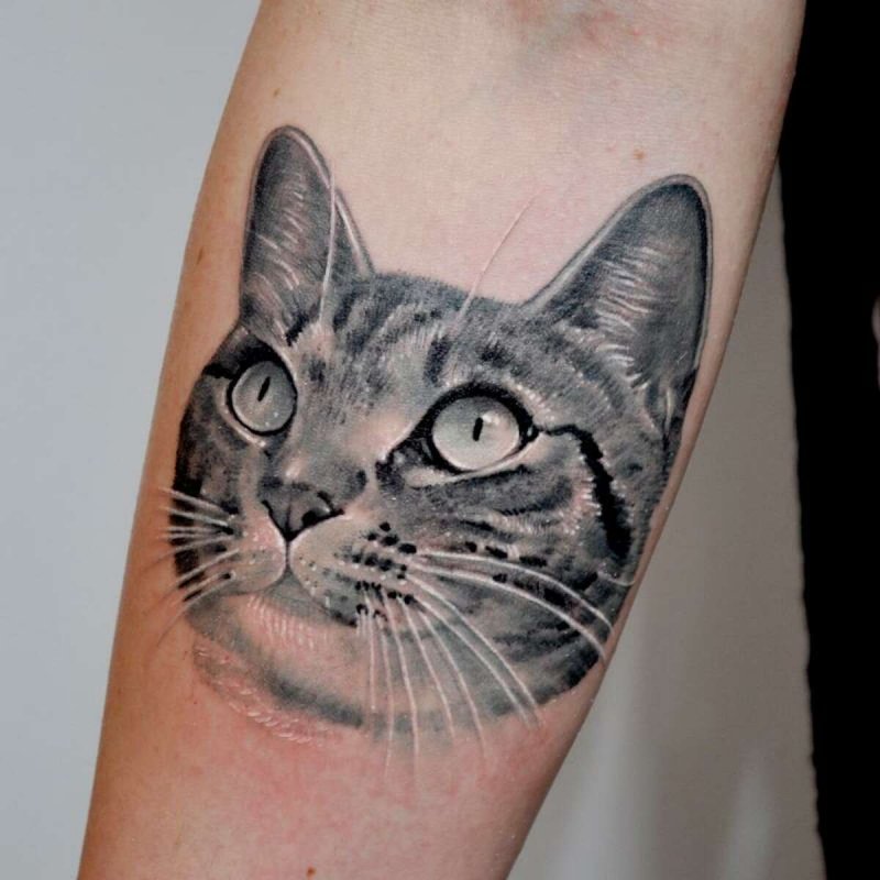 Скетч тату кошка