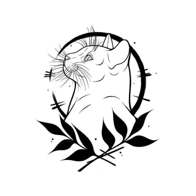 Кот тату эскиз