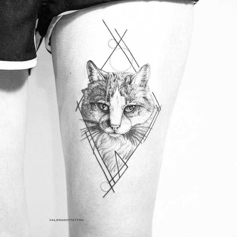 Кошачий череп тату