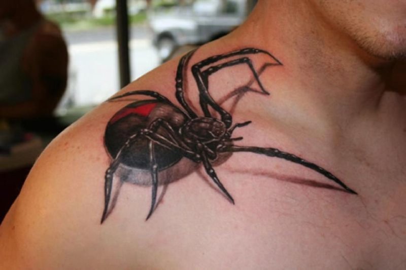 3d tatu паук