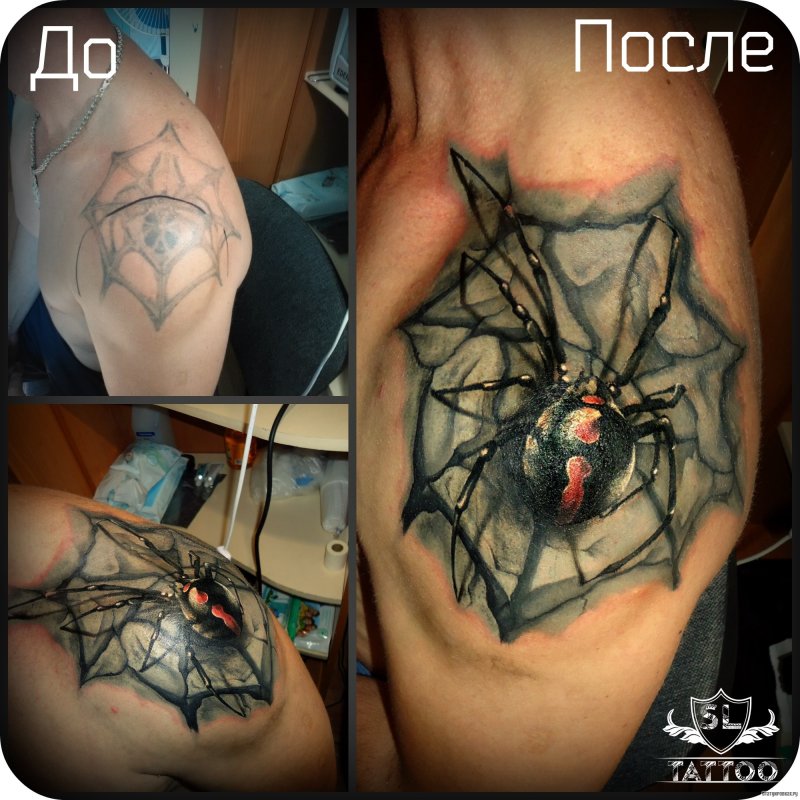 Паук птицеед 3д