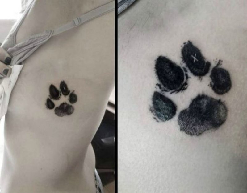 Тату лапа кота