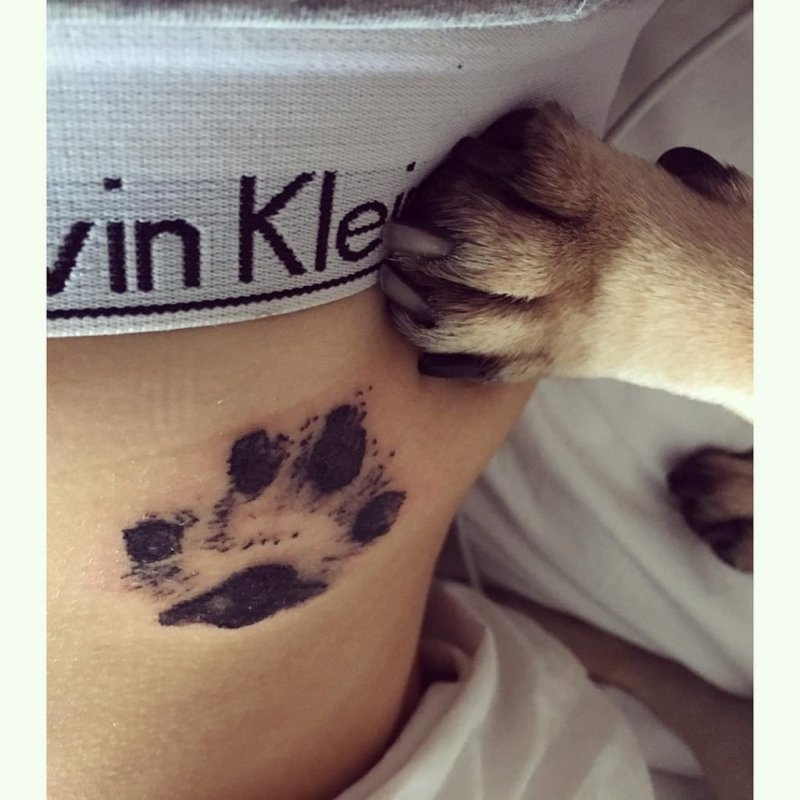 Тату лапки кошки