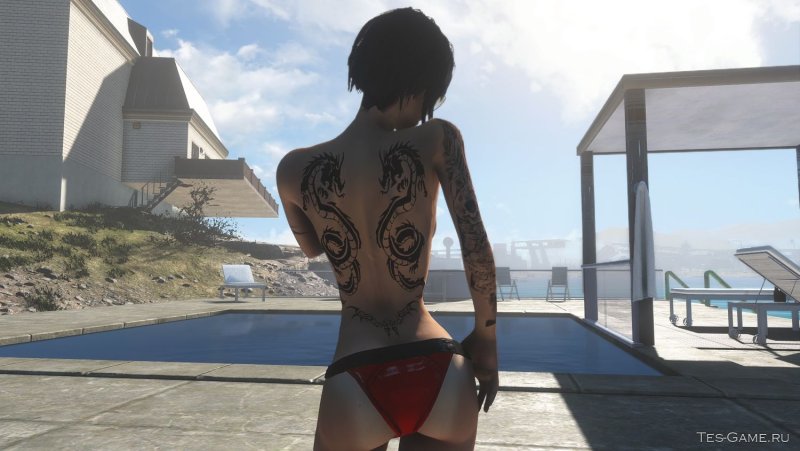 Fallout 4 Tattoo Mod