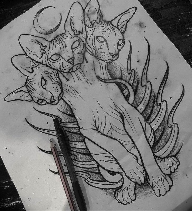 Кот сфинкс арт