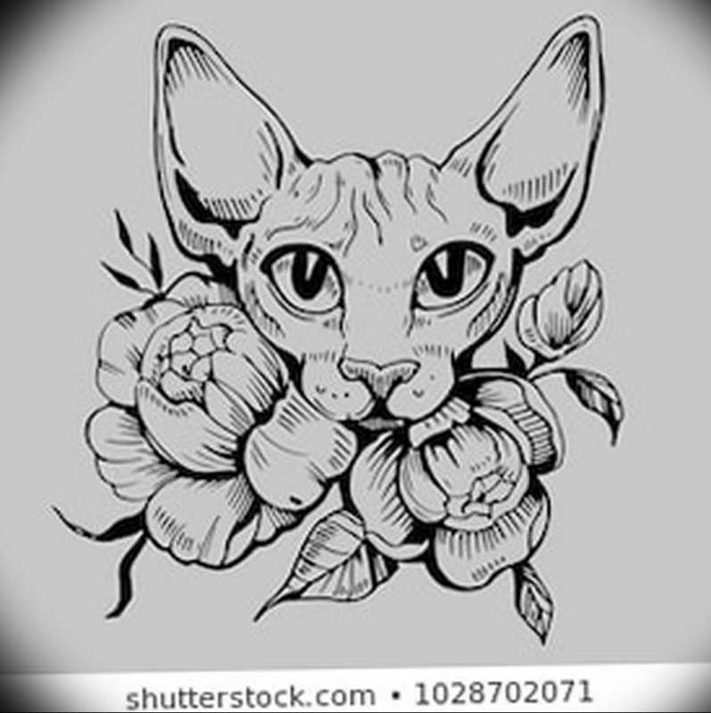 Сфинкс кот с черепом тату