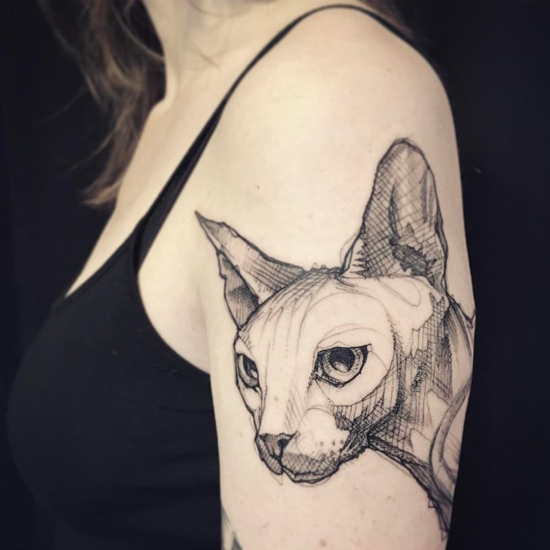 Тату сфинкс кошка