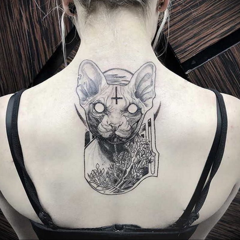 Череп кота сфинкса