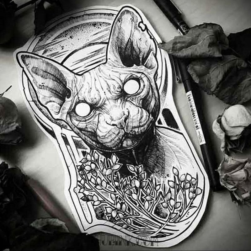 Кот сфинкс тату