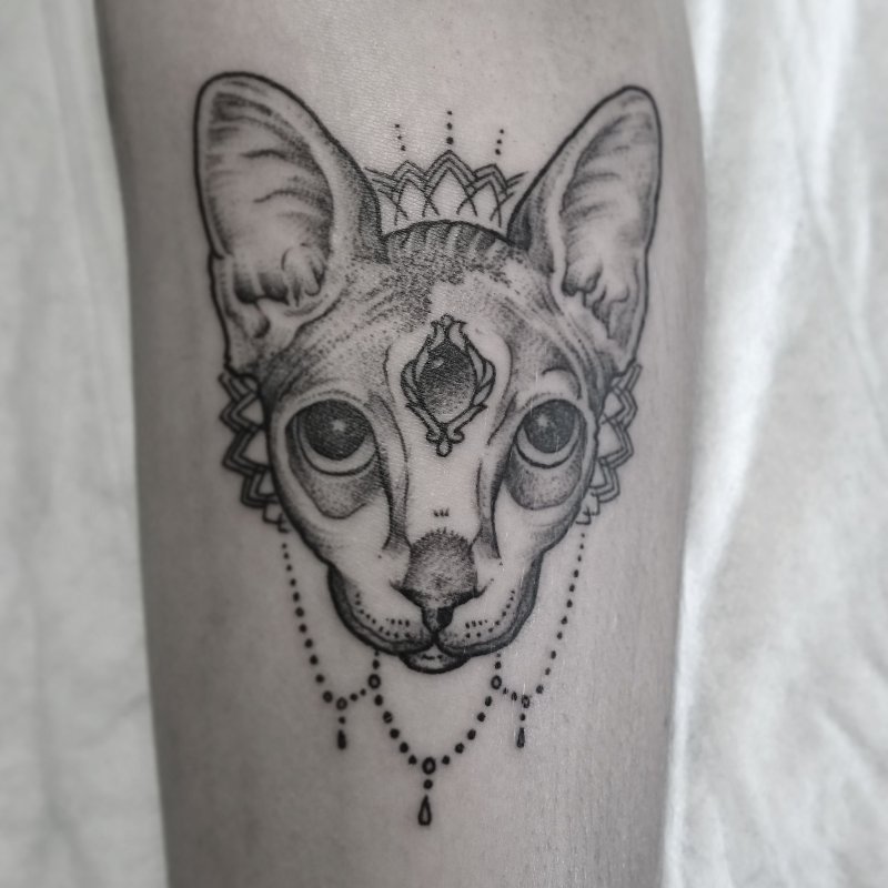 Сфинкс кошка тату эскиз